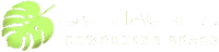 Buenaonda Coworking Logo