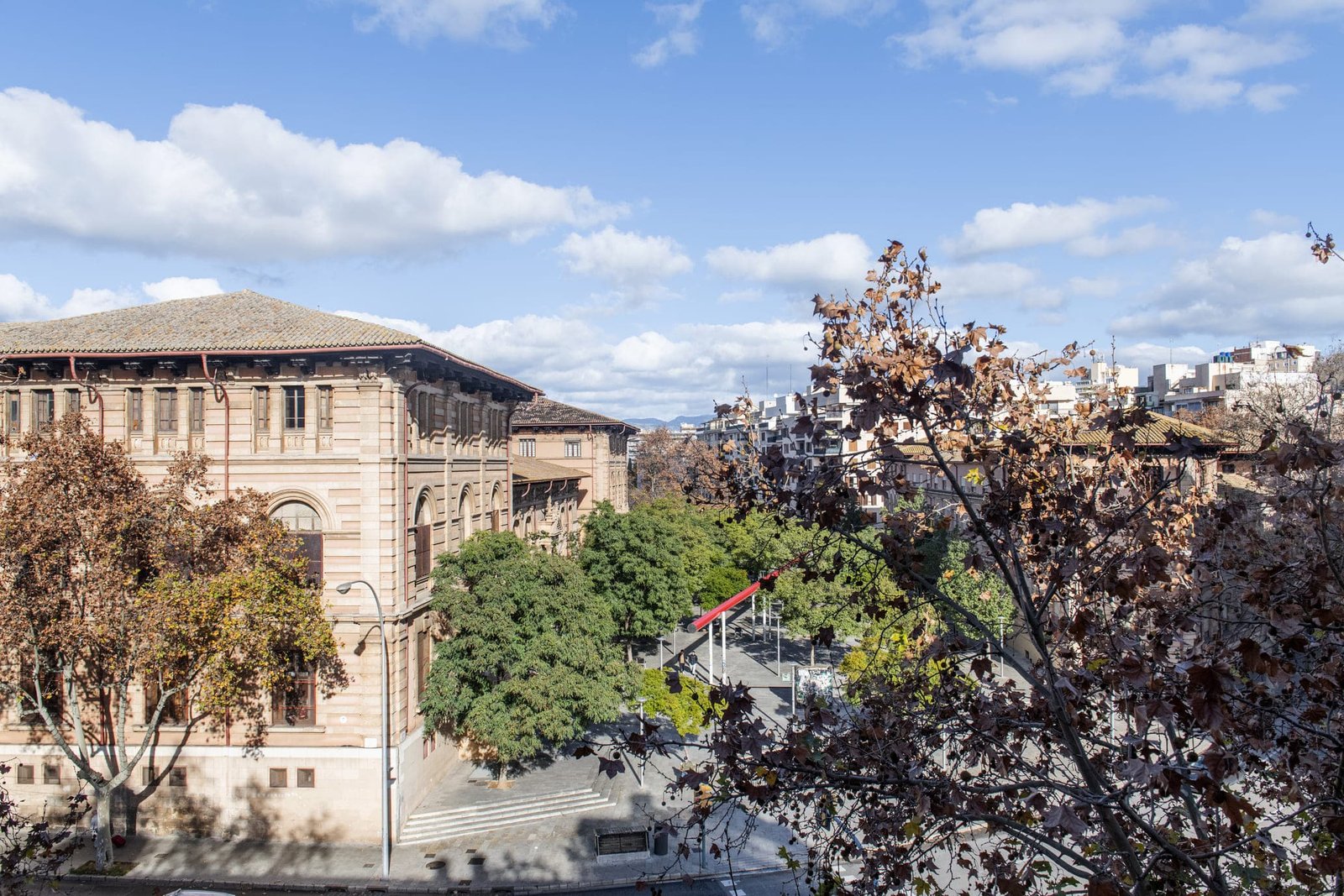 DSC_3796 (1)